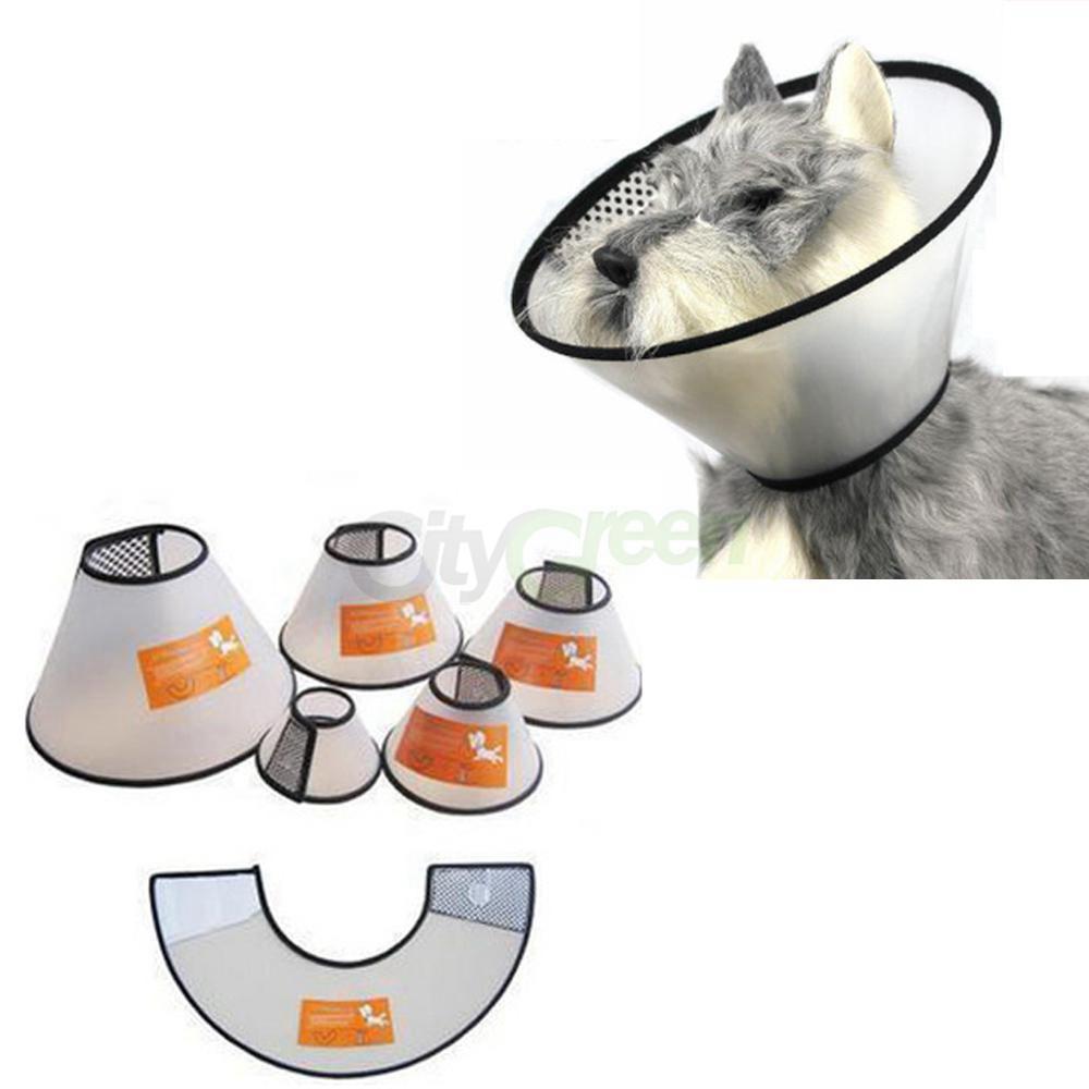Vòng chống liếm, loa đeo cổ cho chó mèo Ngáo Và Gâu Đần Số 5 vòng cổ 20-30cm