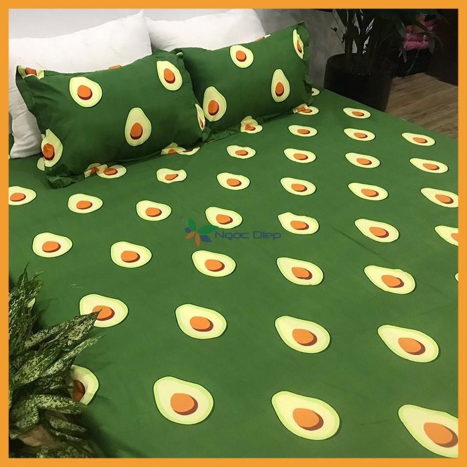 Set vỏ chăn ga gối cotton poly mẫu quả bơ m2, m6, m8, 2m2
