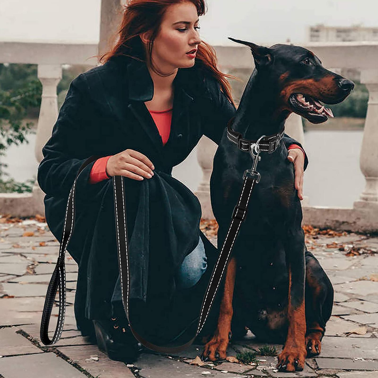 Dây buộc dắt chó đi dạo, độ dài có thể điều chỉnh, phù hợp nhiều kích cỡ thú cưng