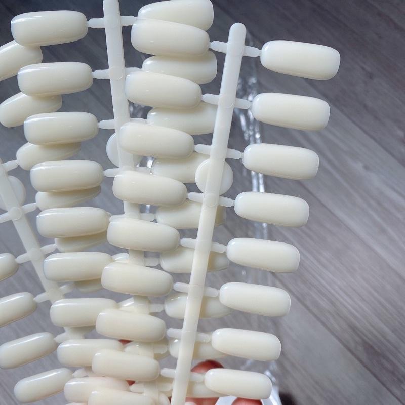 Vỉ móng tập vẽ, móng tập vẽ
