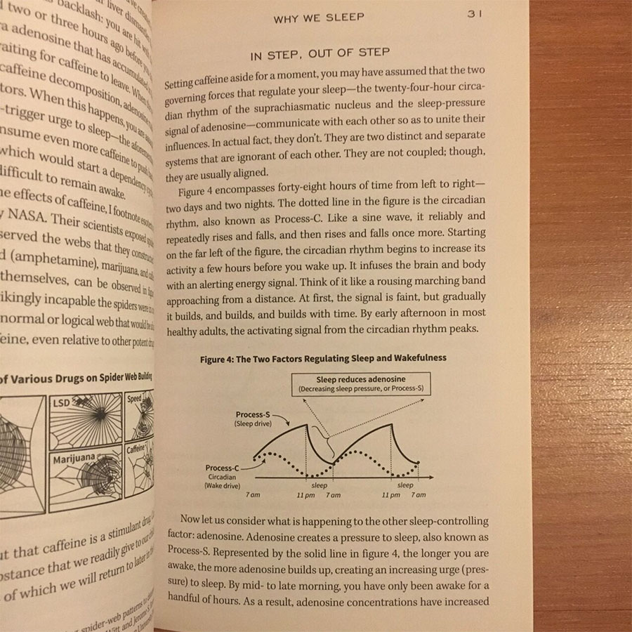 Why We Sleep : The New Science of Sleep and Dreams