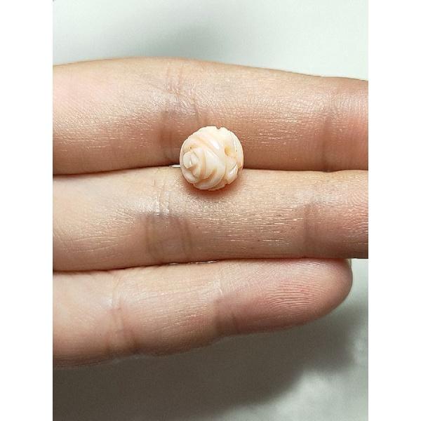 410- L Cham San Hô Không Nhuộm