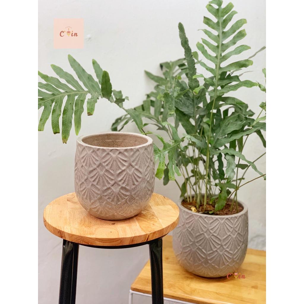CHẬU CÂY Gabi, Alatic, gáo dừa các size - Chậu hoa Trồng cây Decor Trang Trí - Gốm Xuất Khẩu