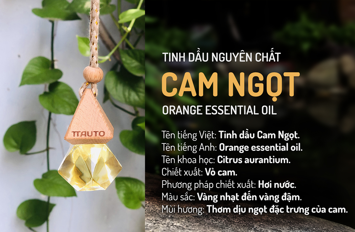 Tinh Dầu Thiên Nhiên TTAUTO Treo Xe ô tô, Treo Tủ Quần Áo, Treo Phòng Giúp Khử Mùi, Thơm Phòng, Thư Giãn Tinh Thần, Chống Say Xe Hiệu Quả