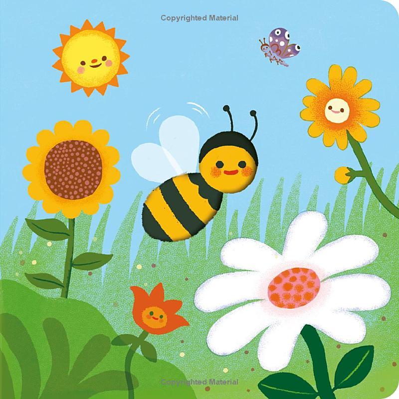 Sách ngoại văn: Little Life Cycles - Bee