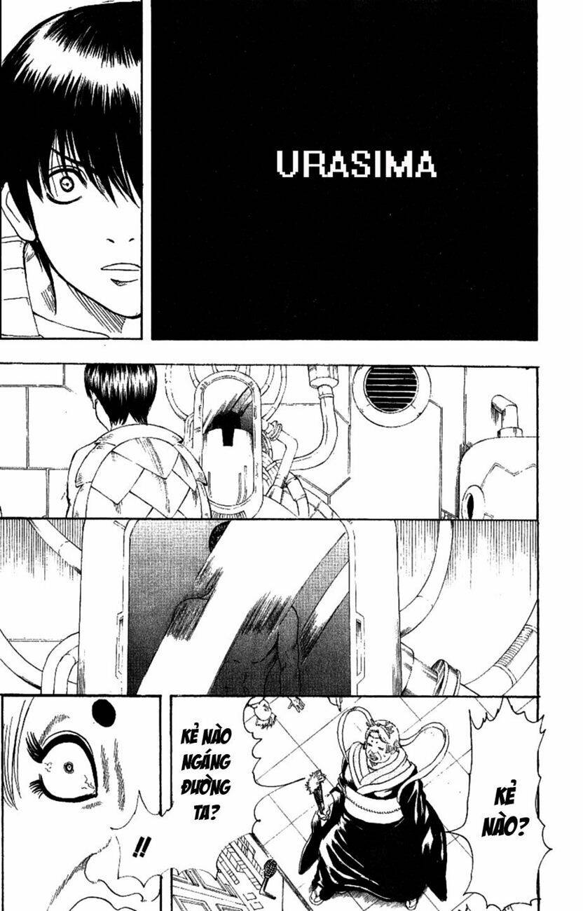 gintama - linh hồn bạc chapter 180 15
