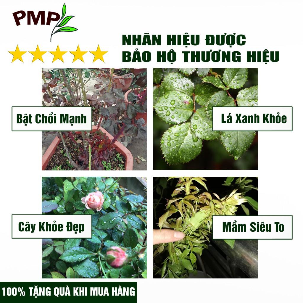 Dịch Chuối Humic PMP Vi Sinh Chuyên Dùng Cho Hoa Hồng, Hoa Lan, Rau Sạch 500ml