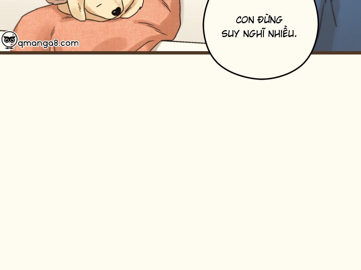 tương phùng chapter 37 126