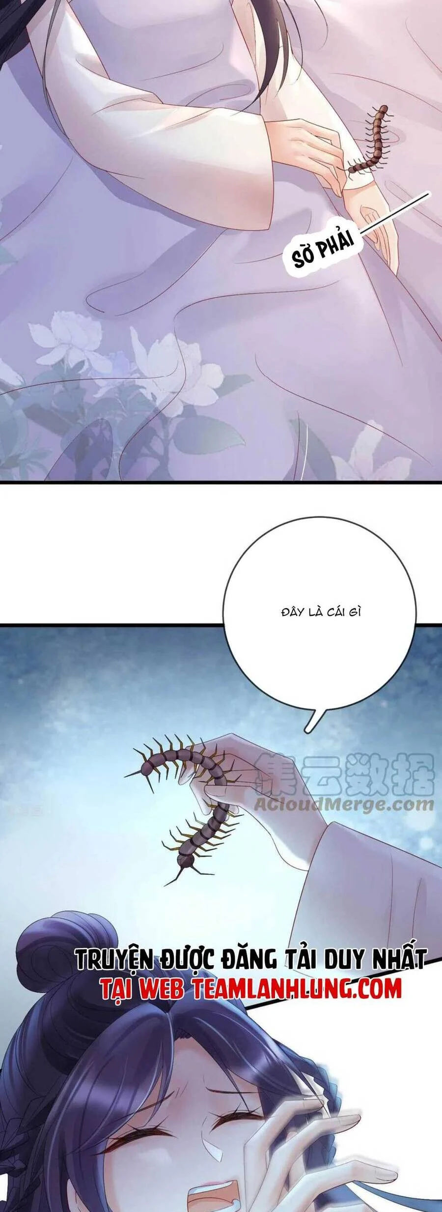 sự trả thù của vương phi chapter 62 2