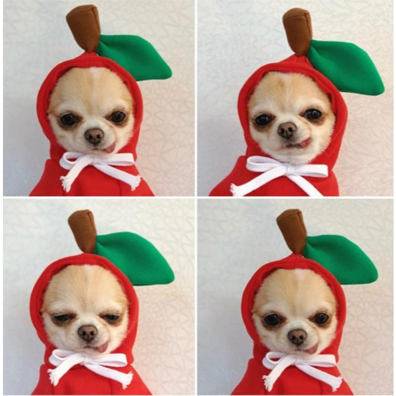 Áo hình ảnh trái cây CUTE cho Chó Mèo có mũ - Quần áo thú cưng (2 chân) Có size To