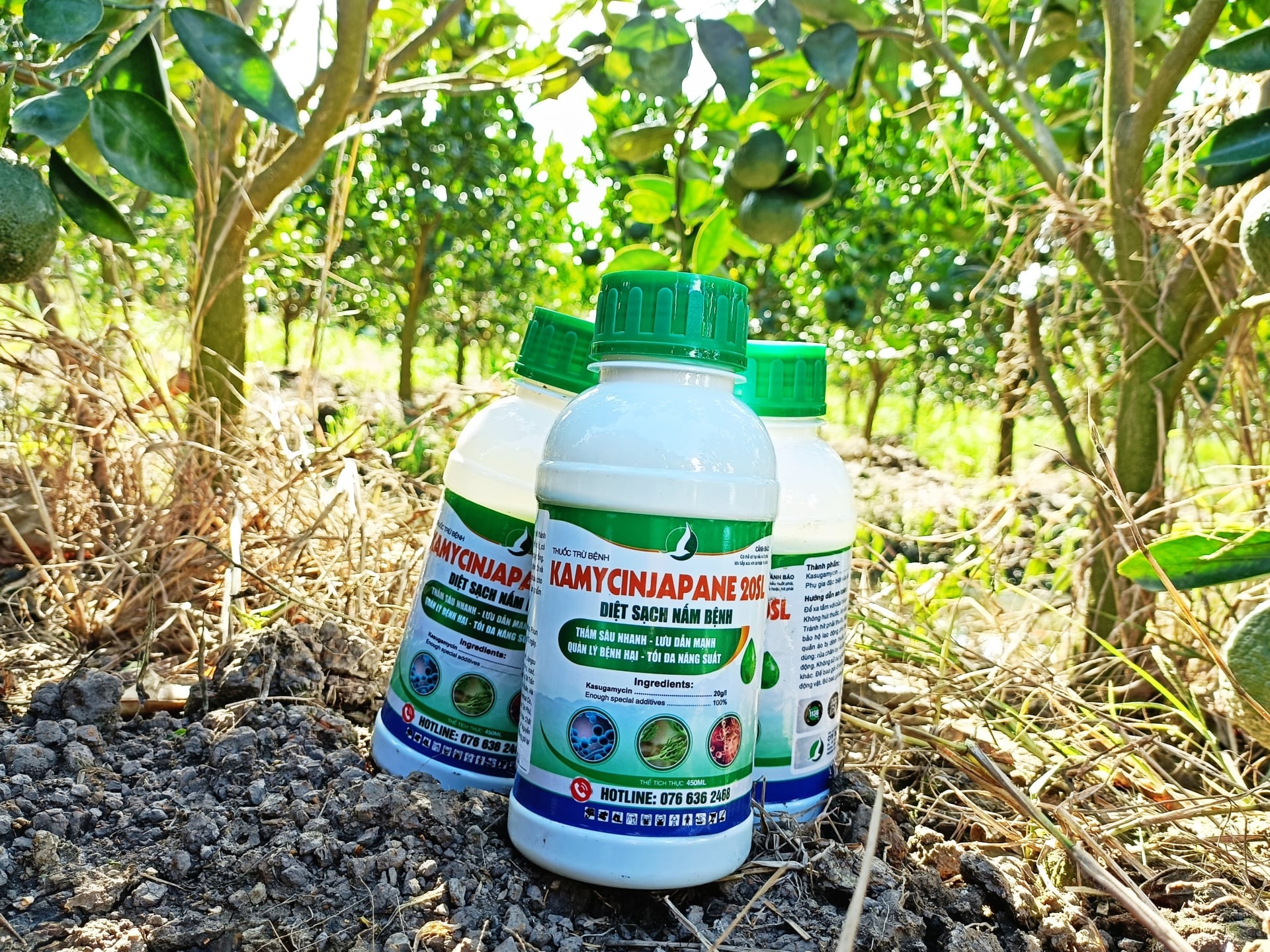 KAMYCIN JAPANEV - THUỐC TRỊ NẤM KHUẨN