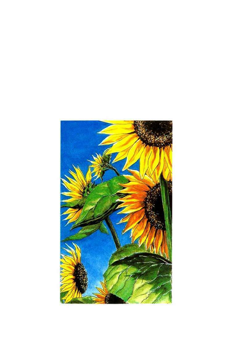 shamo (võ đạo) chapter 10 20