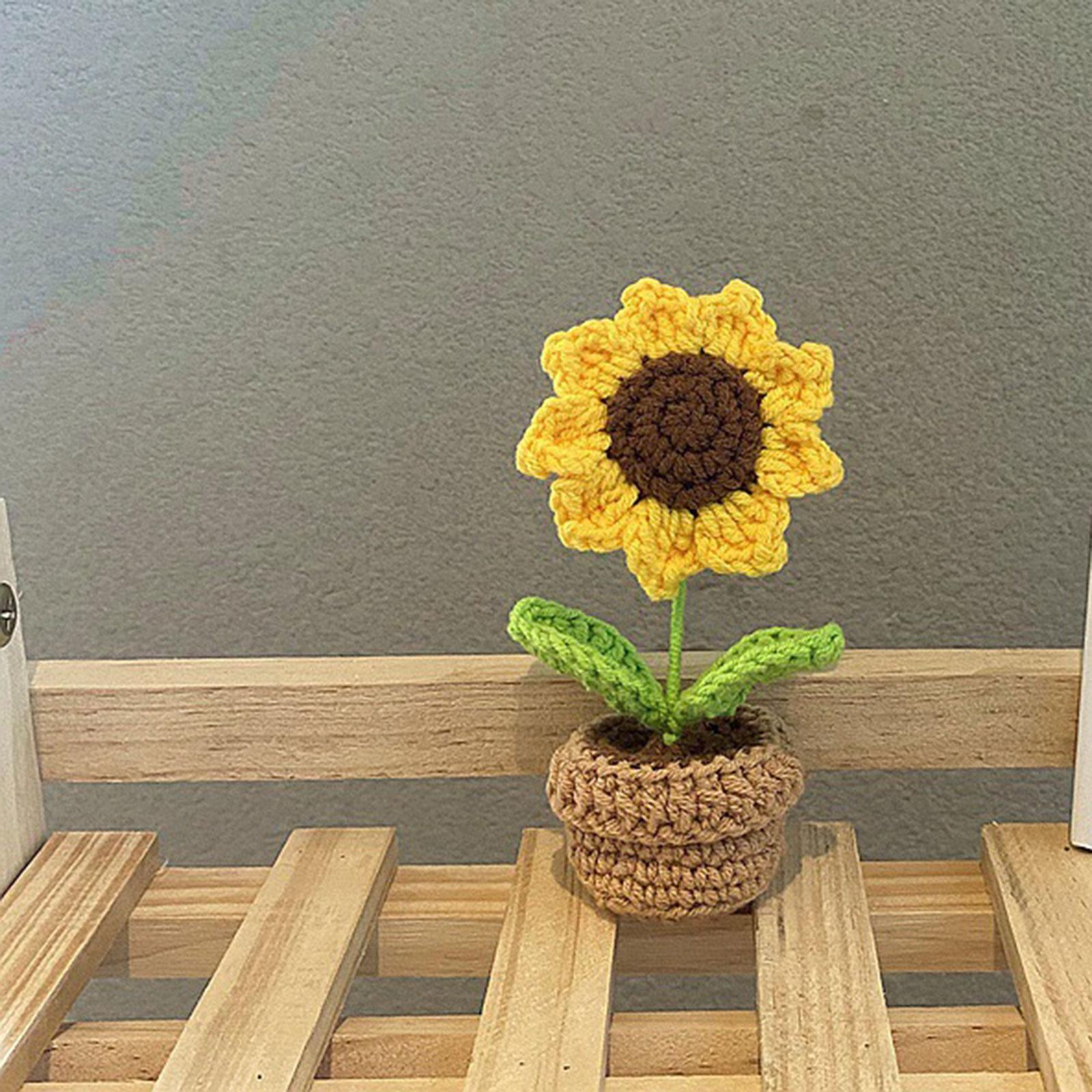 2x Handmade DIY Beginner Crochet Kits for Adults and Kids Starters
