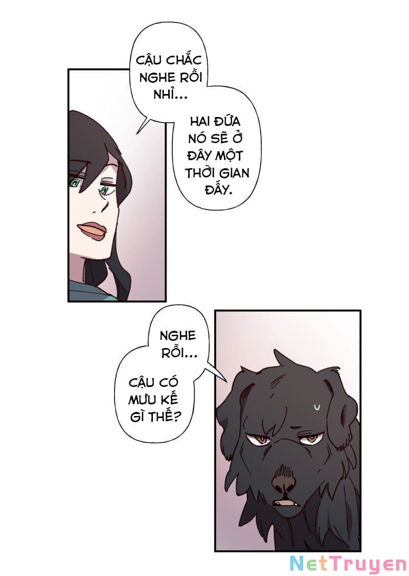 lumine - cội nguồn ánh sáng chapter 83 17