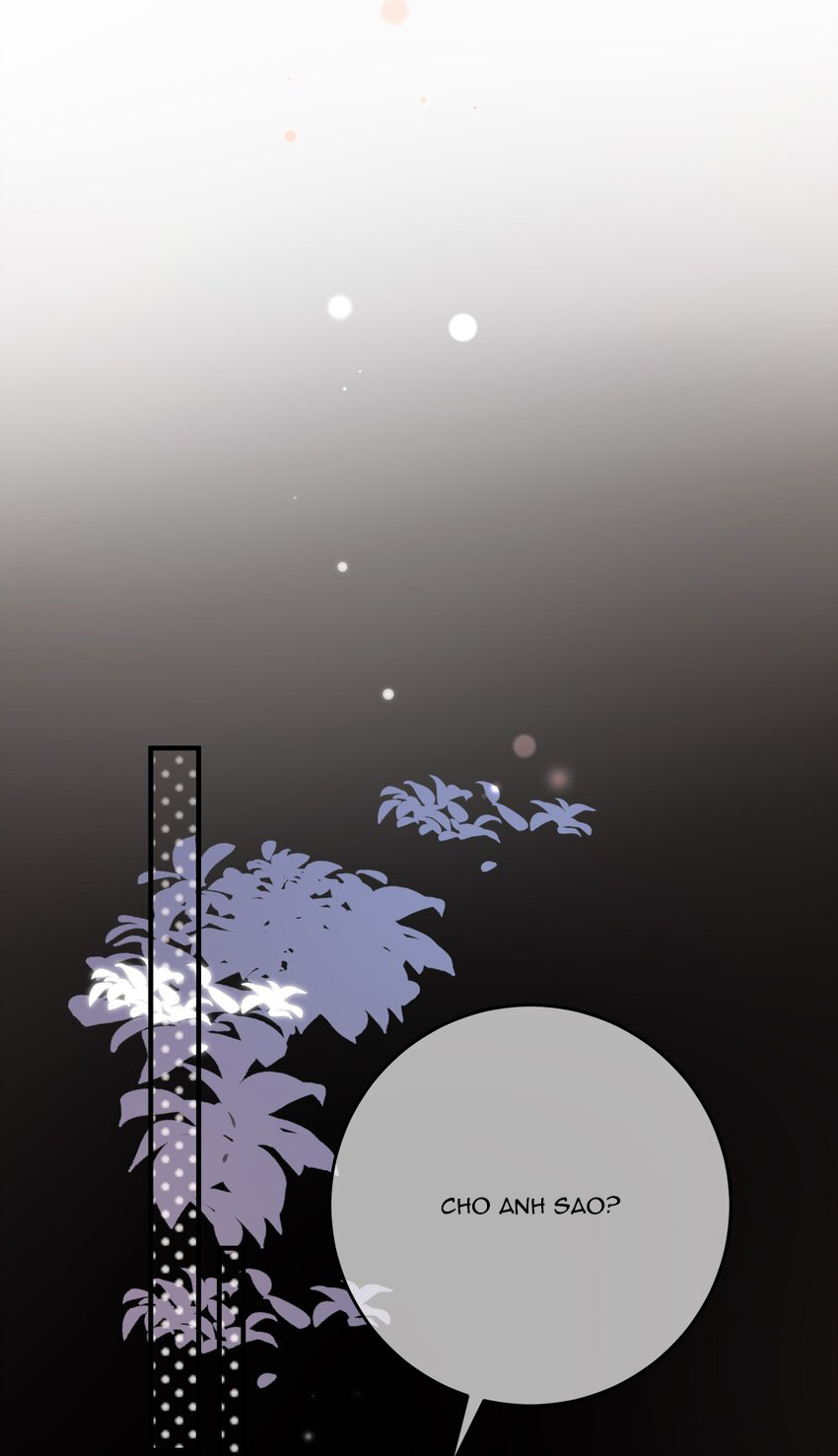 trước và sau ly hôn! chapter 85 5