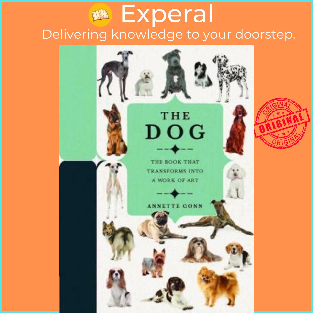 Sách - Paperscapes: The Dog by Annette Conn