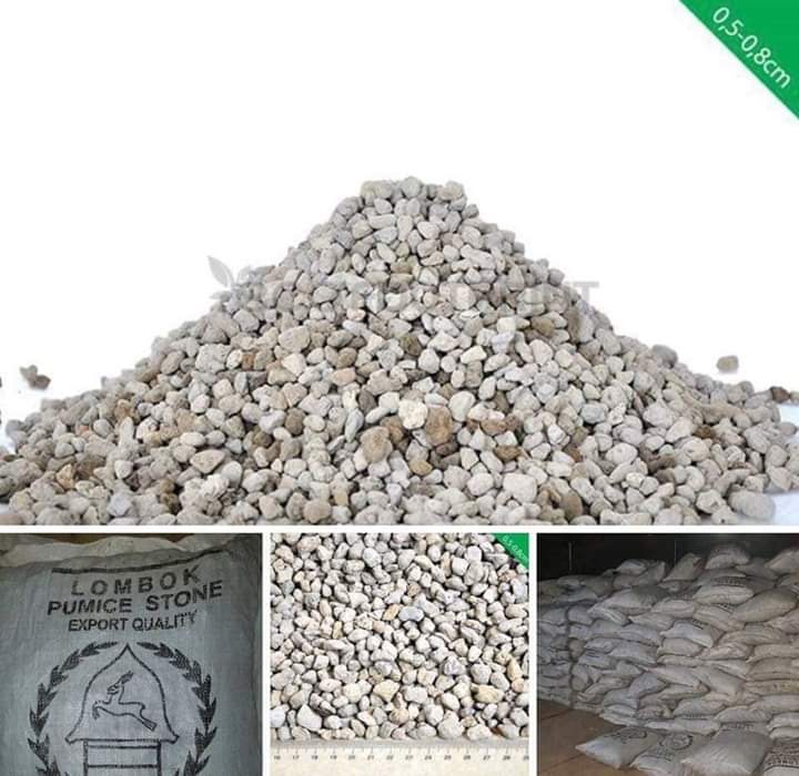 Đá Bọt ( Đá Pumice ) giúp đất thoát nước tốt, thích hợp trồng sen đá, Xương rồng, Địa Lan, Phong Lan (Bịch 1kg) size 1-2cm