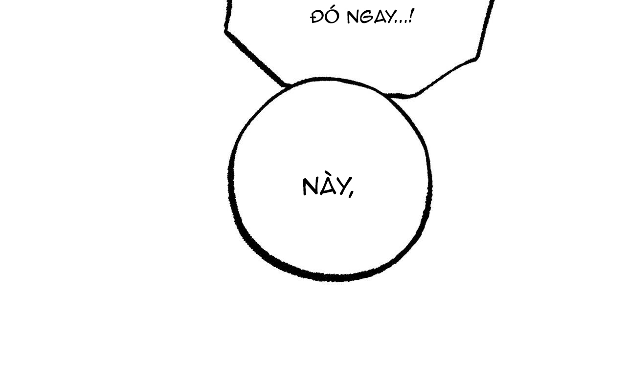 những chú thỏ của hapypy chapter 49 16