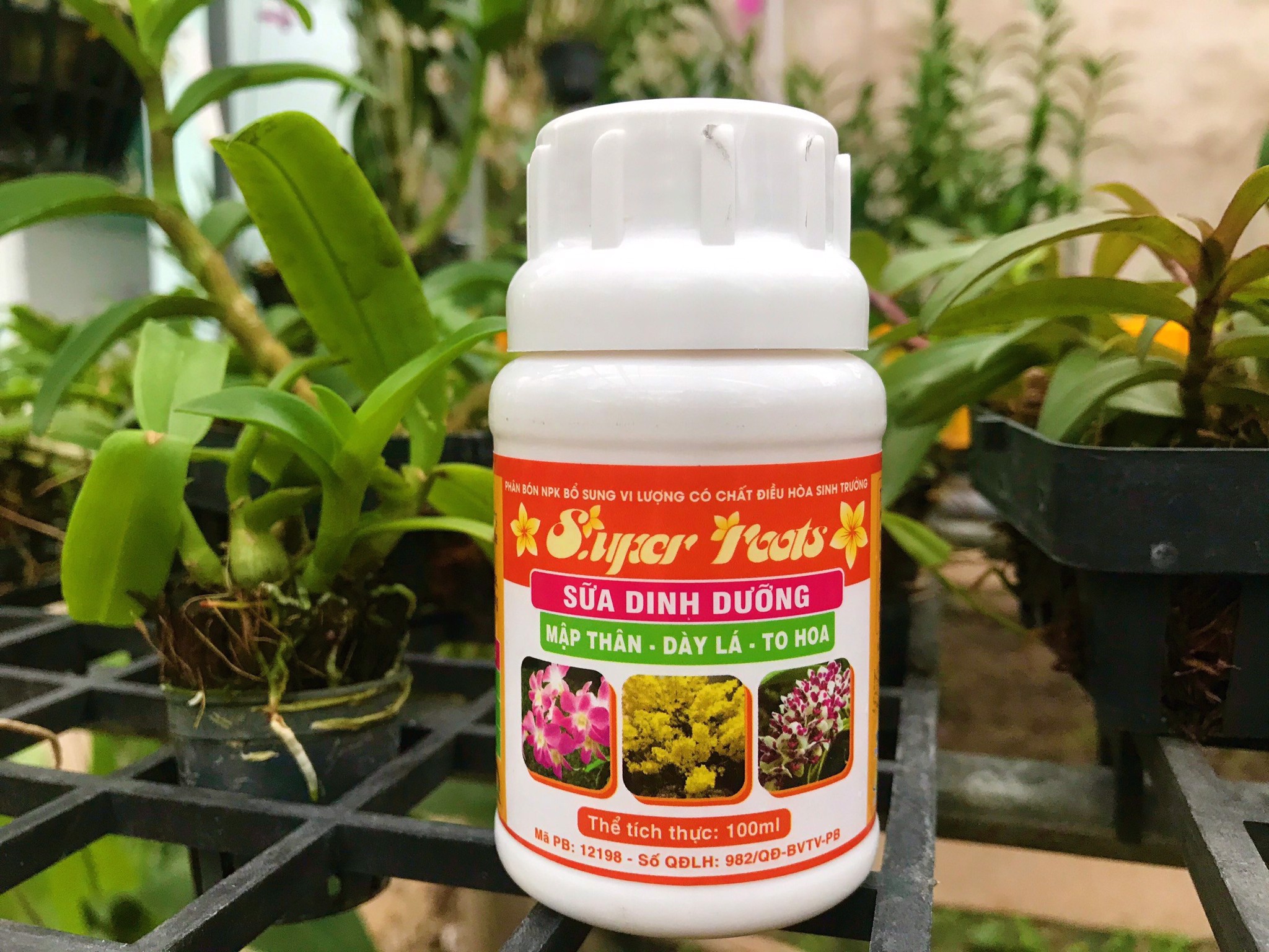 Phân SUPER ROOTS - Sữa Dinh Dưỡng cho Lan và Cây Trồng giúp cây khỏe hoa to đẹp - 100ml