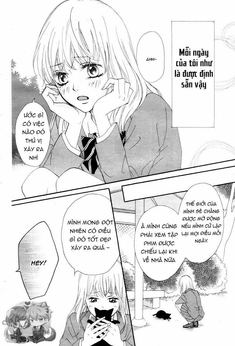 koi ni naranai wake ga nai chapter 1 5