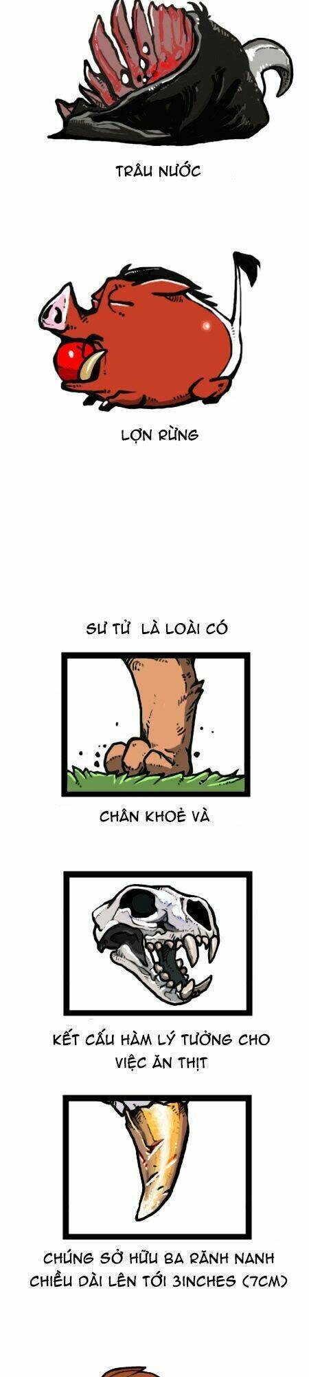 earth, human, and animal chapter 27 18