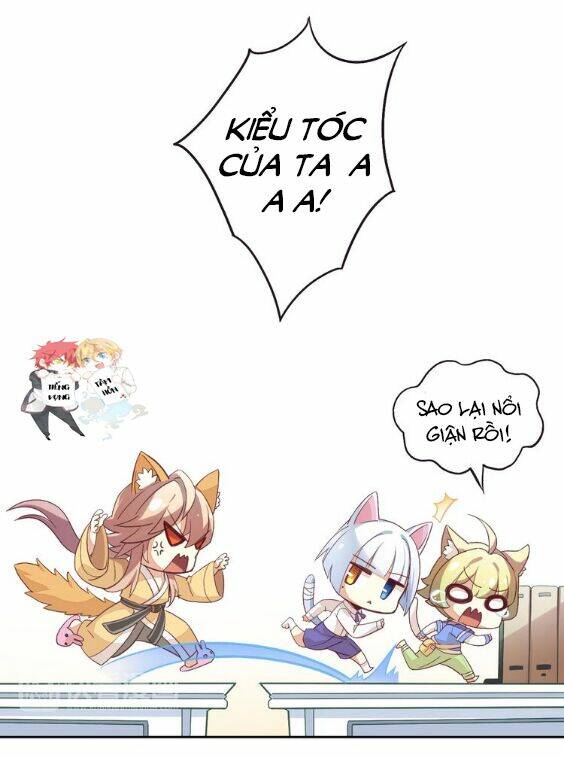 miêu trảo chi hạ chapter 1 20