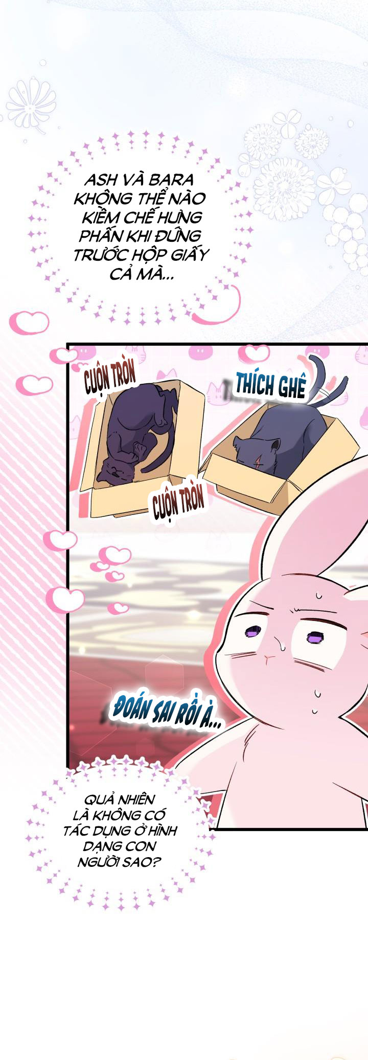 mối liên kết giữa báo đen và bé thỏ chapter 56 25
