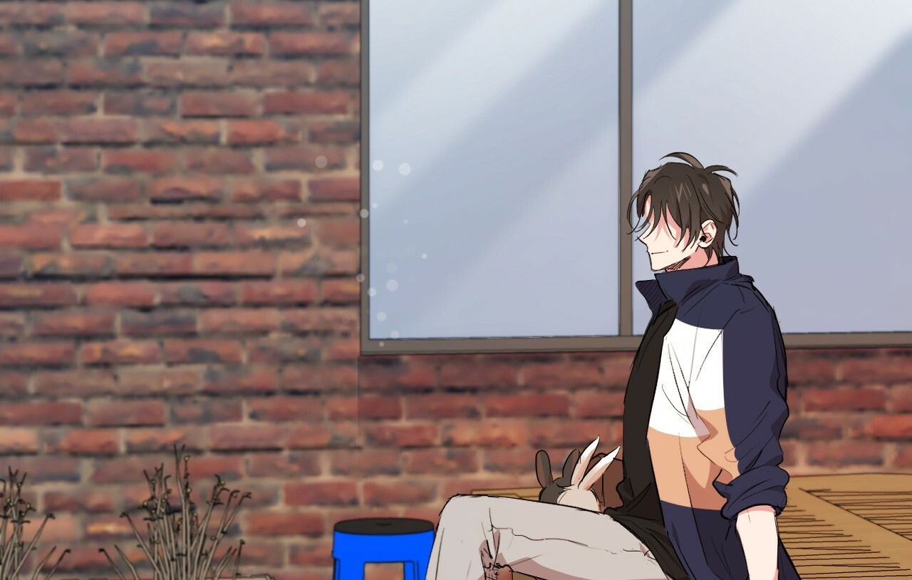 đàn thỏ của habibi chapter 19 247