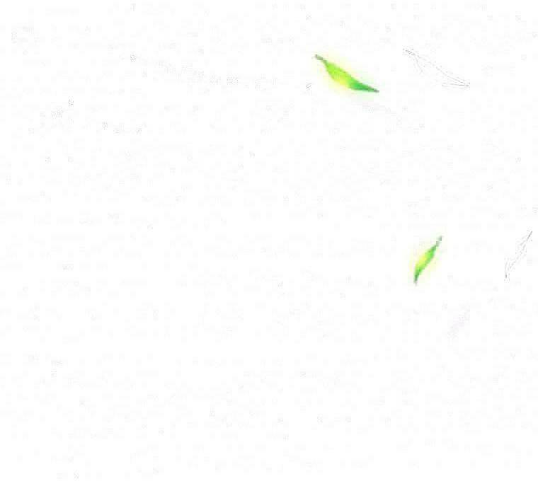 why did you come to my home? chapter 1.1 70