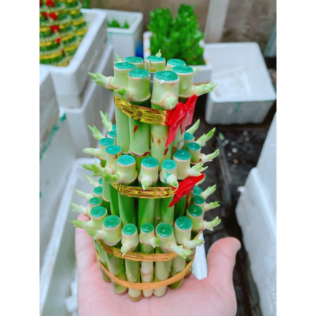 Chúc Phát Tài Hay Chúc Phát Lộc 3 Tầng Có Tặng Kèm Dĩa Lót