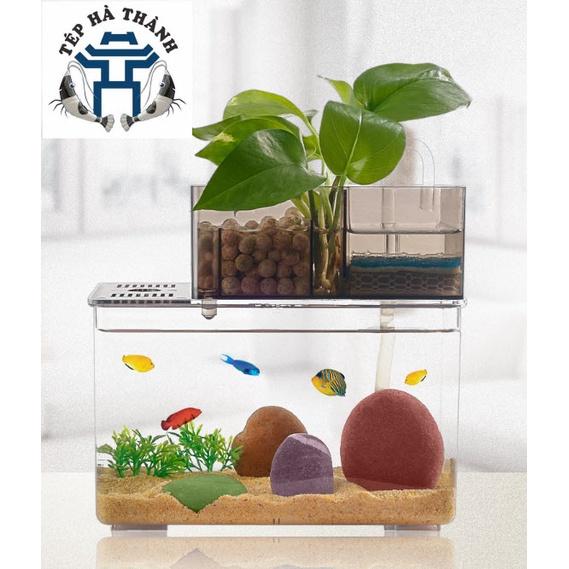 Bể Cá Mini Fish Tank Trang Trí Bàn Làm Việc, Văn Phòng