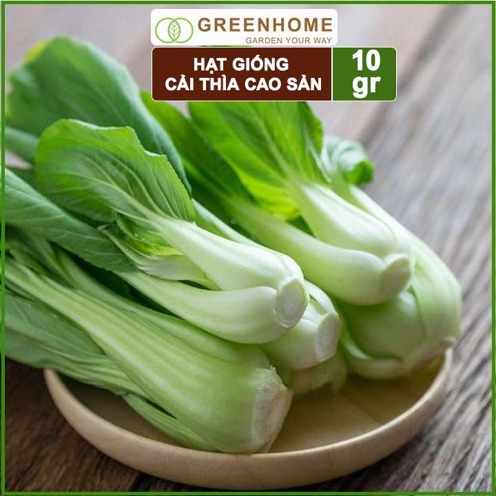 Hạt giống rau Cải thìa cao sản, gói 10gr, nẩy mầm khỏe năng suất cao R08 |Greenhome