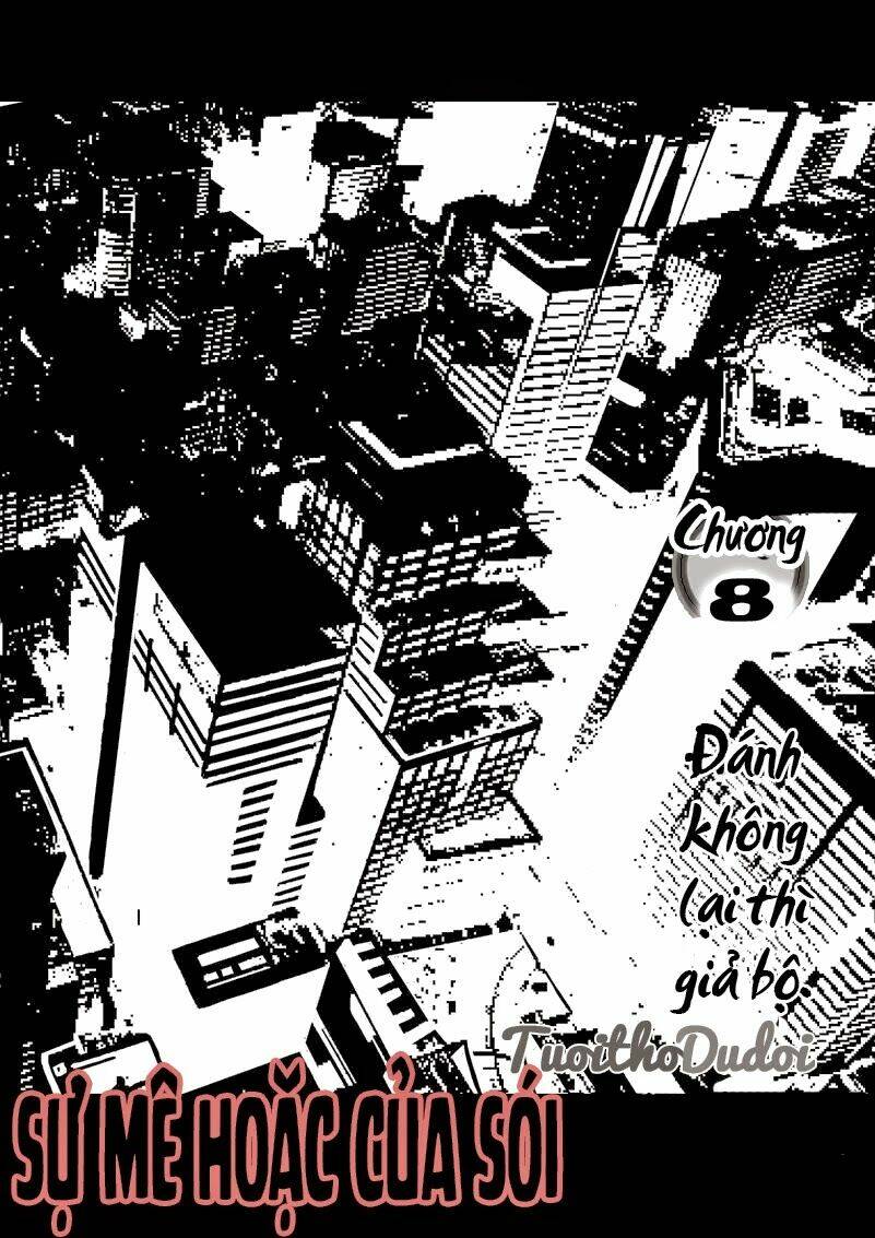 sự mê hoặc của sói chapter 8 1