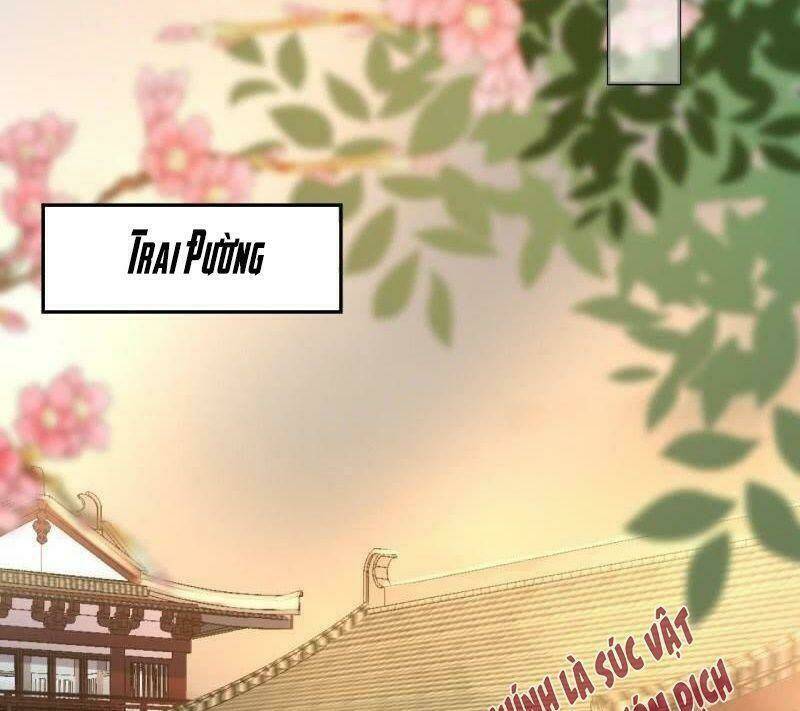 vương gia kiêu ngạo quá khó cua chapter 39 32