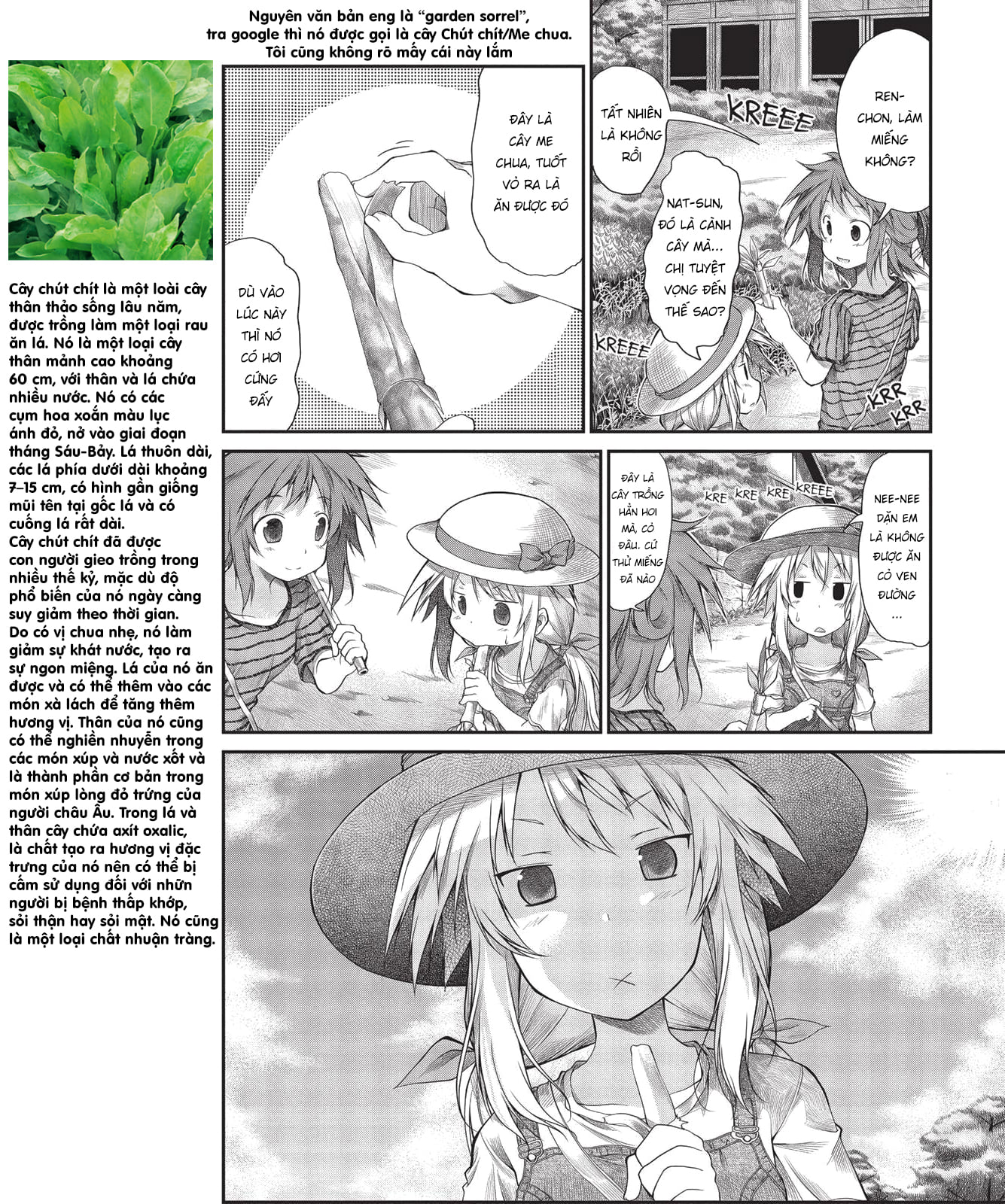 non non biyori chapter 14 6