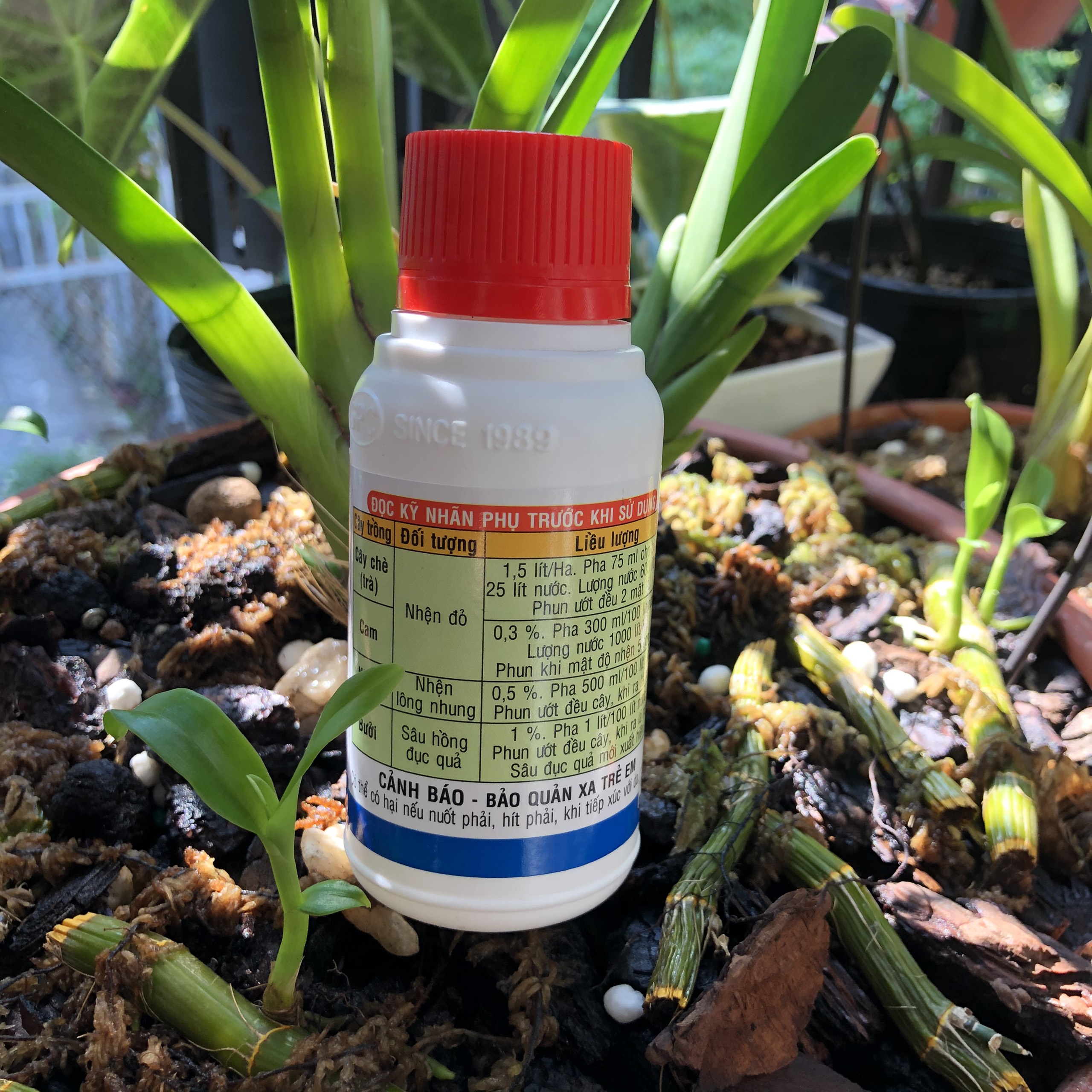DẦU KHOÁNG SK EnSpray 99EC Đặc trị nhện đỏ cồn trùng