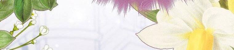 xin hãy kết hôn với em chapter 37 490