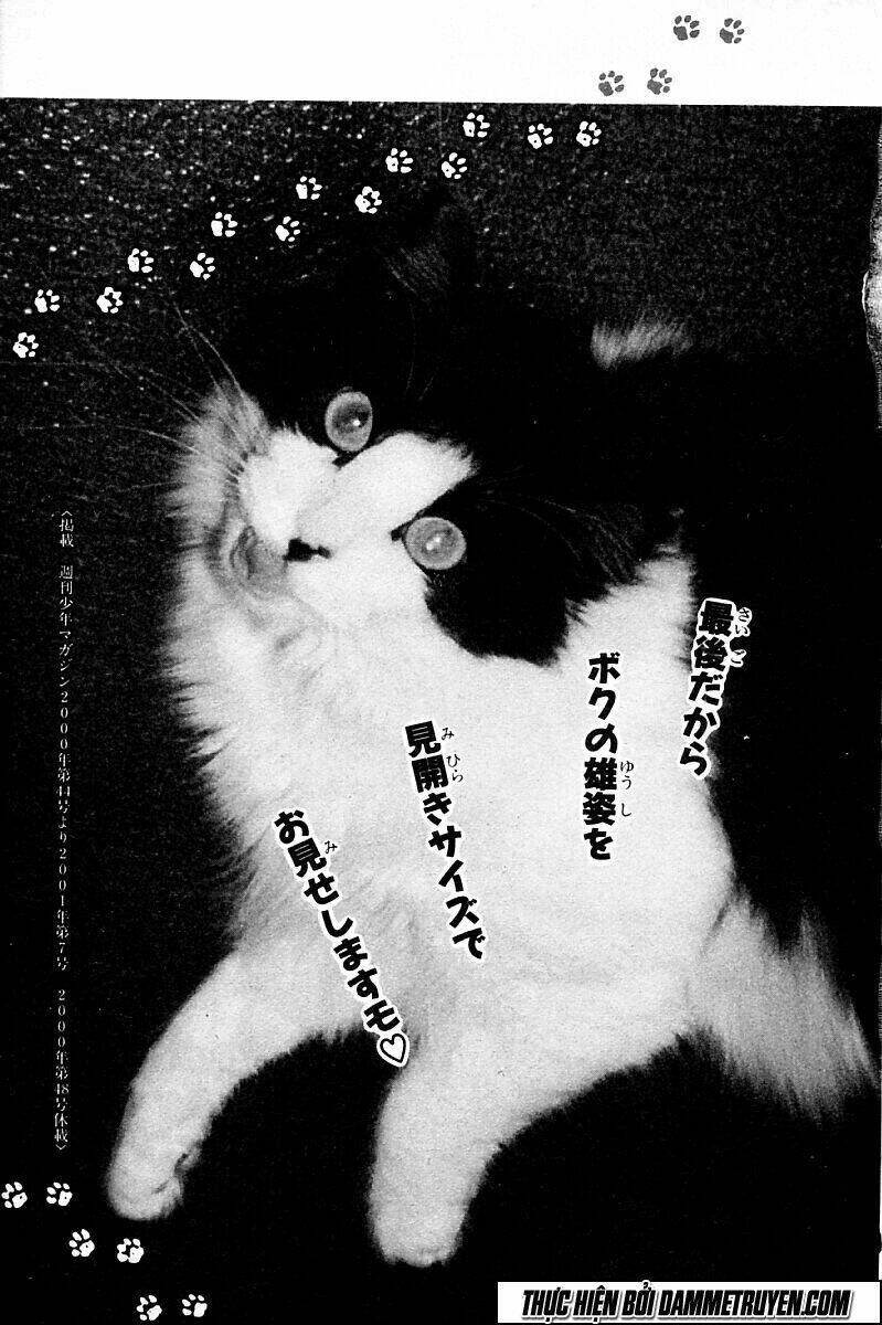 shin kotaro makaritoru! juudouhen chapter 216 4