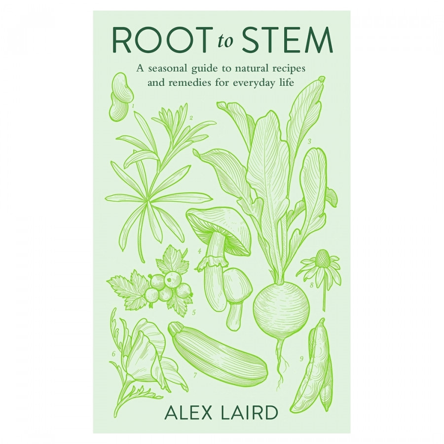 Root To Stem