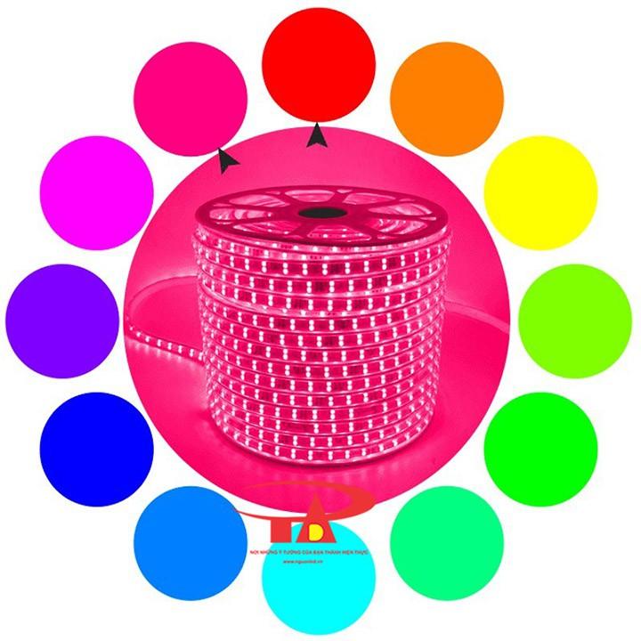 Đèn led dây 2835 cuộn 100m 220v