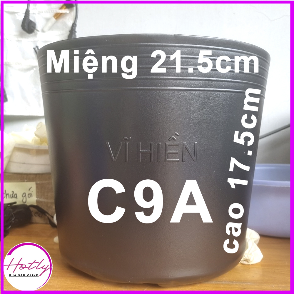100 Chậu nhựa C9 21.5x17.5cm trồng cây ăn trái và hoa,bền 10 năm -77121