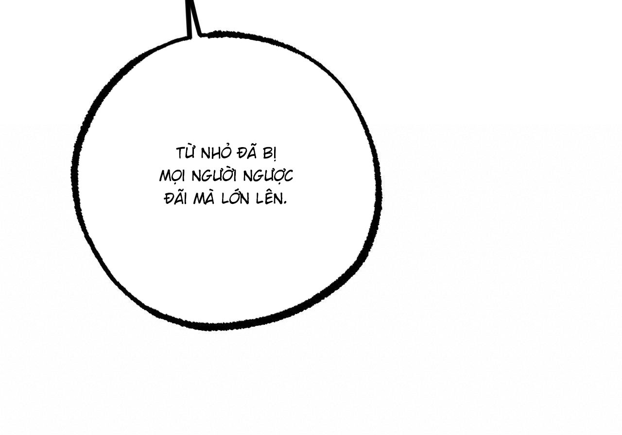 những chú thỏ của hapypy chapter 60 137