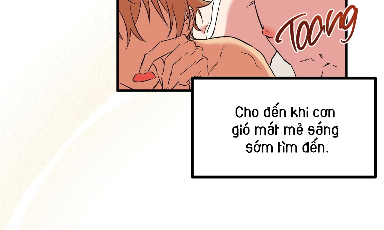 đàn thỏ của habibi chapter 55 7