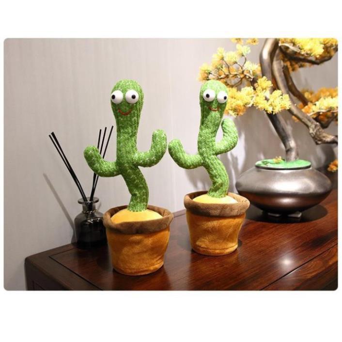 Cây Xương Rồng Khiêu Vũ Nhảy Múa Phát Ra Âm Thanh Vui Nhộn, có thu âm nhại tiếng nói