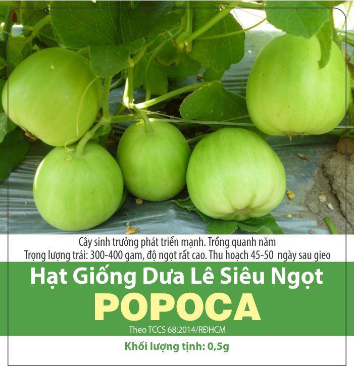 Hạt Giống Dưa Lê Popoca