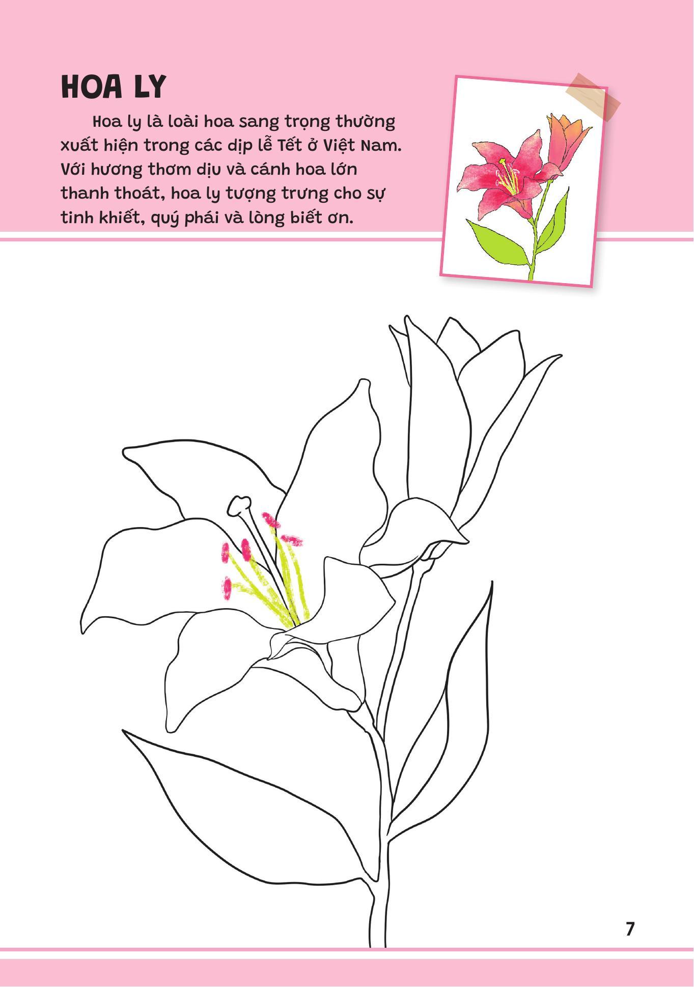 Sách - Yêu Quá Việt Nam - Các Loài Hoa