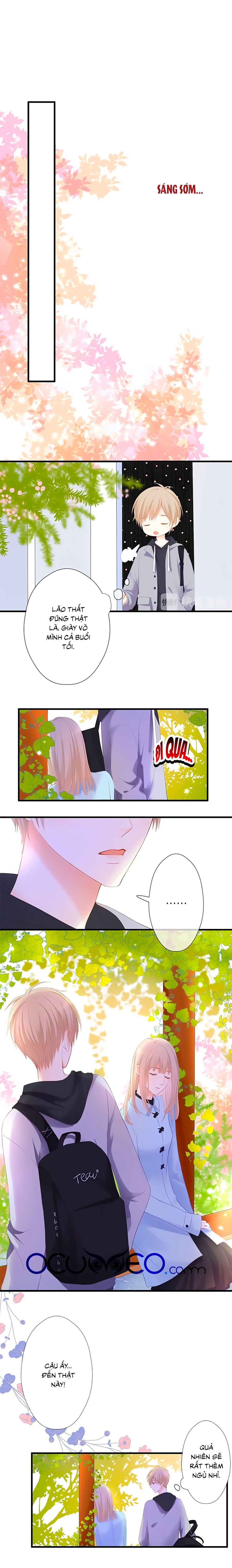 đóa hoa chớm nở chapter 47 8