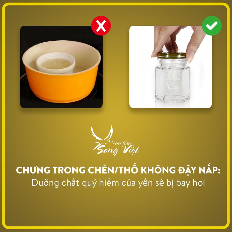 Combo 2 hủ Yến Sào Song Việt