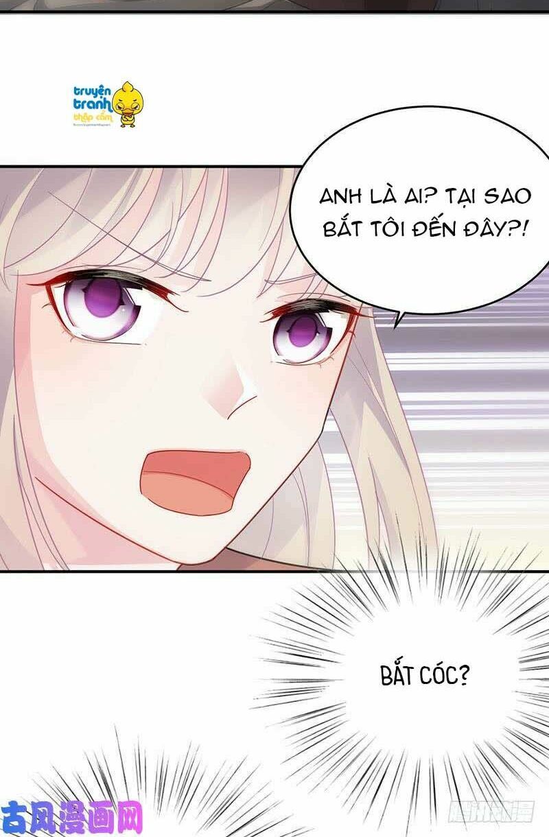 chọc tới chủ tịch tổng tài 2 chapter 106 8