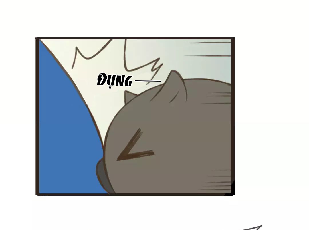 trên trời rớt xuống một hòa thượng ngốc chapter 43 25